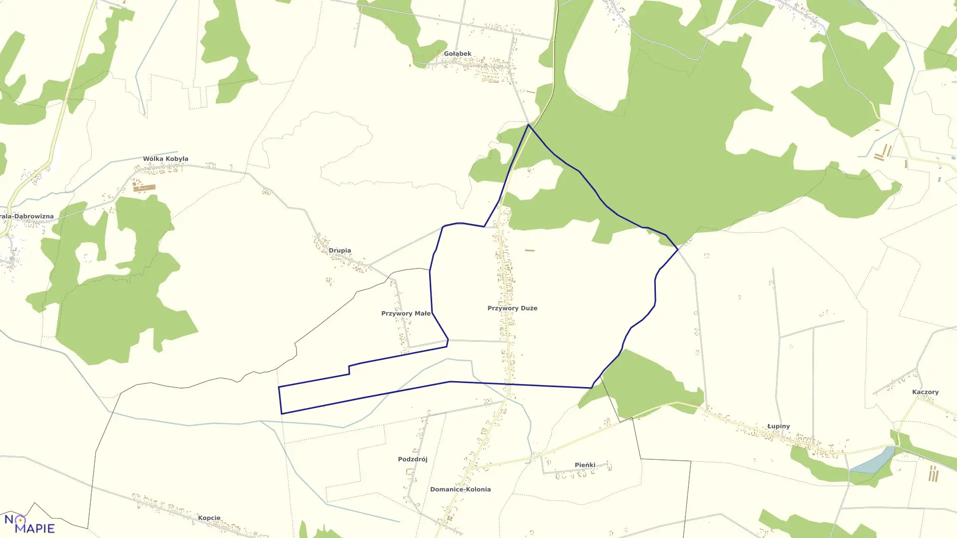 Mapa obrębu PRZYWORY DUŻE w gminie Domanice